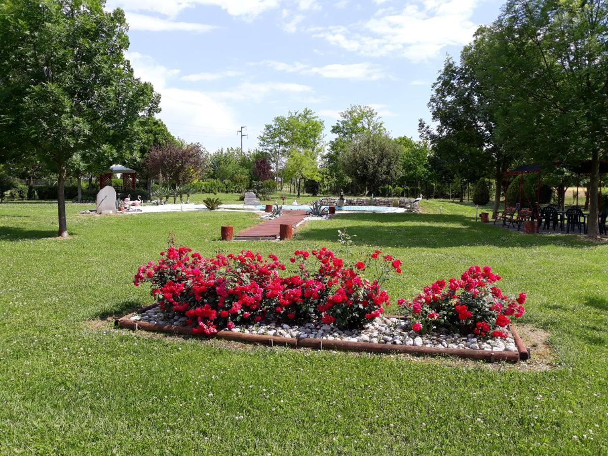 Dogana Vecchia - Hotel & Residence B&B Ristorante & Pizzeria Trivignano Udinese Exterior photo