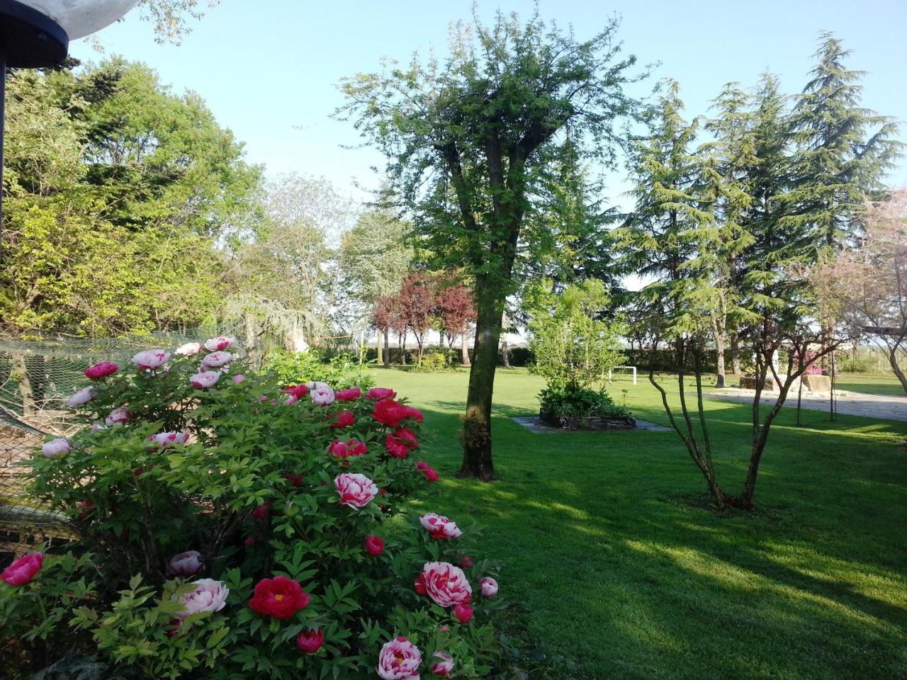 Dogana Vecchia - Hotel & Residence B&B Ristorante & Pizzeria Trivignano Udinese Exterior photo
